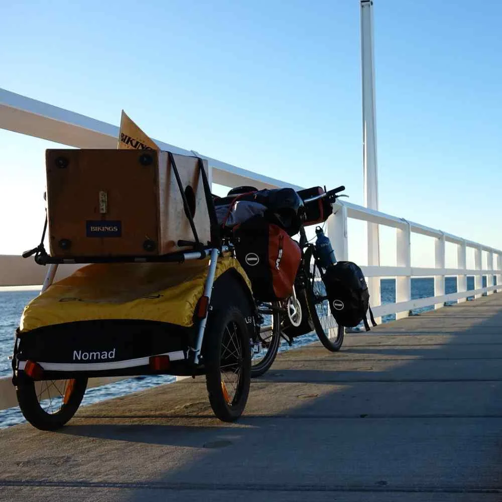 Burley Lastenanhänger – Nomad – gelb/schwarz – Bild 2